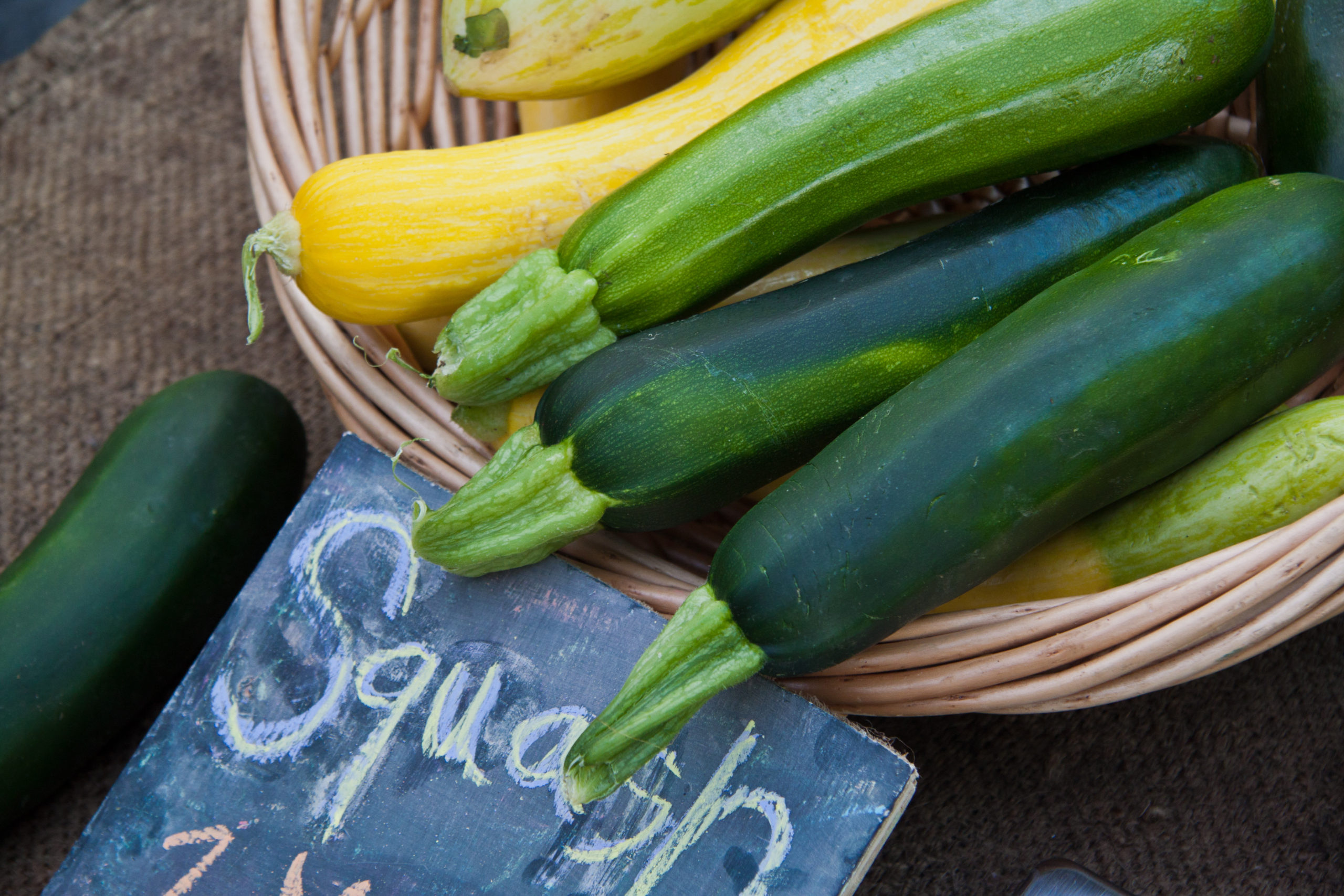 Cucurbita pepo Zucchini and Summer Squash