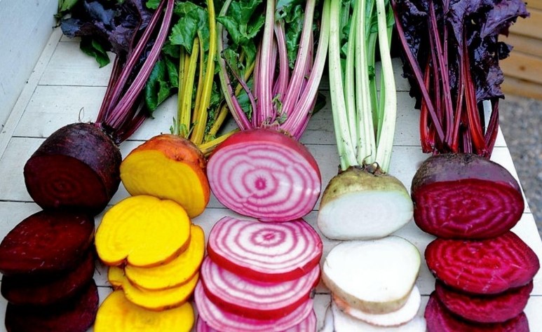 Five cultivars of beets