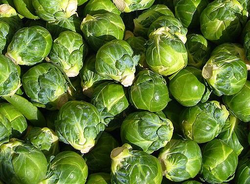 Brussels sprout closeup