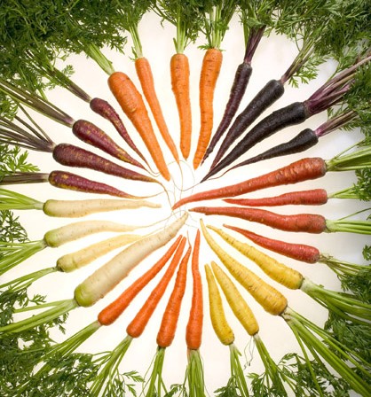 Today carrots come in a variety of colors