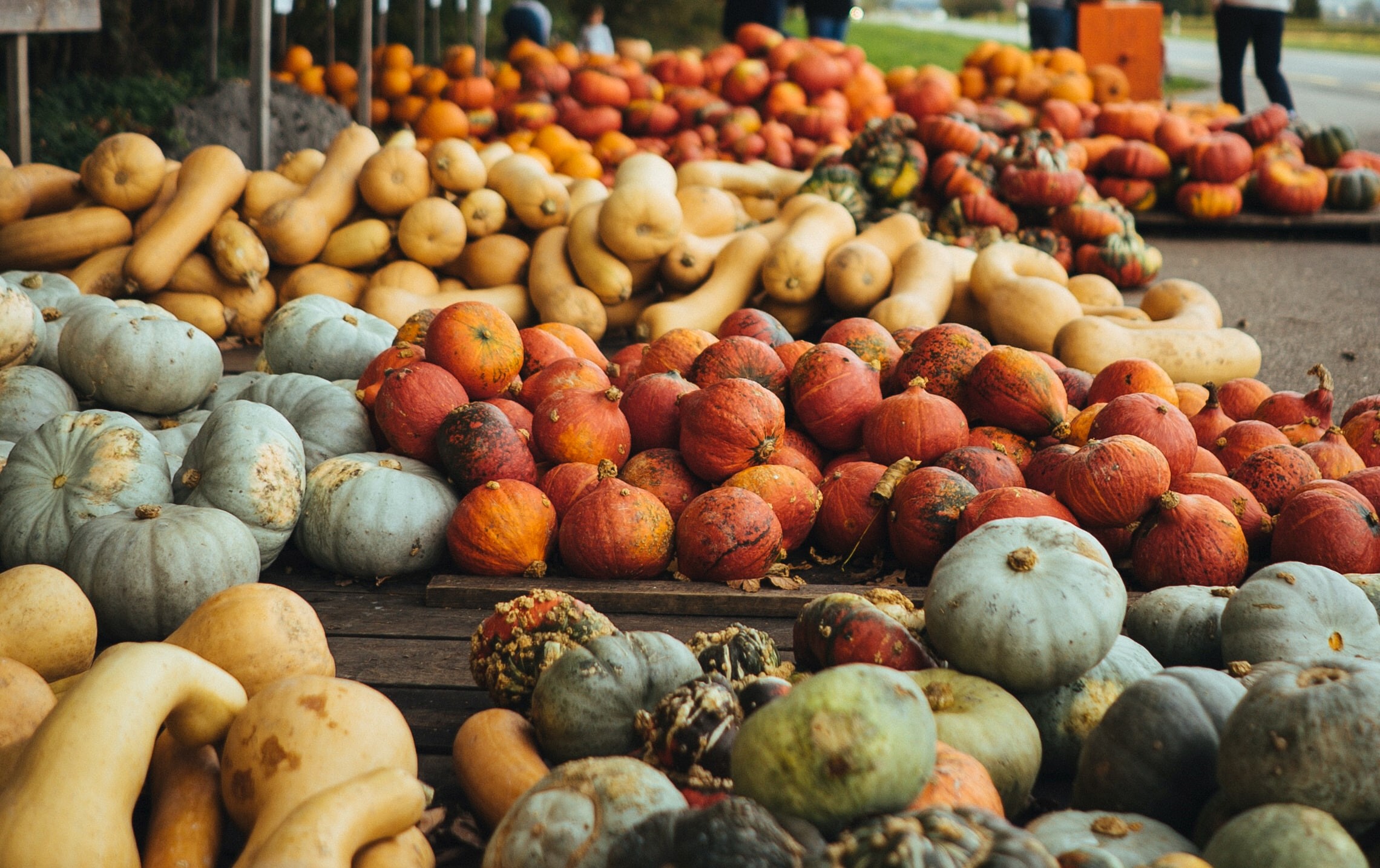 Winter squash comes in many varieties, pumpkins included.